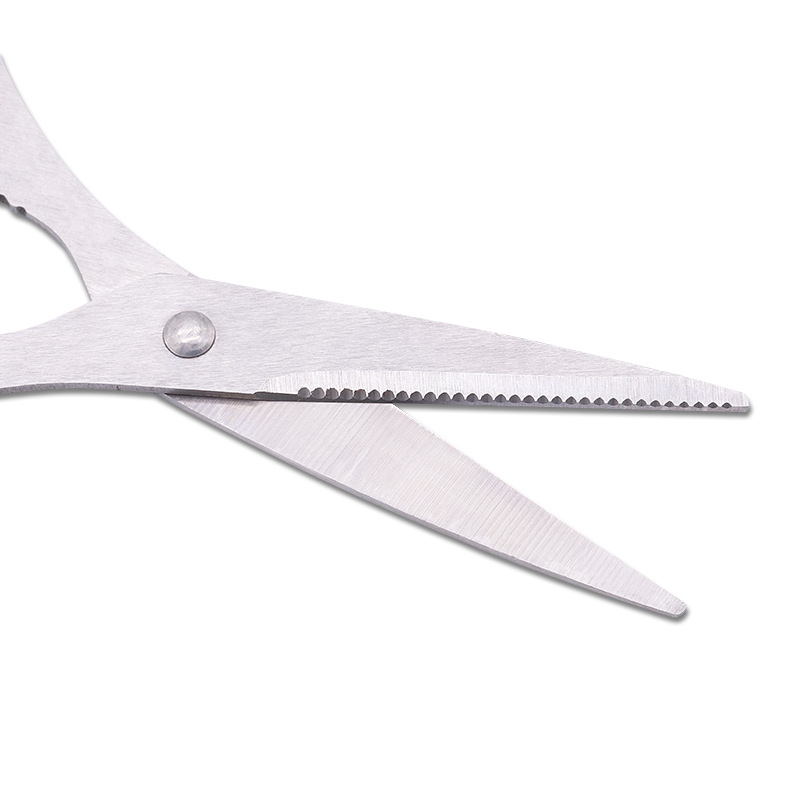 Tijeras de acero inoxidable, t - Baby Food Scissors reseña y precio