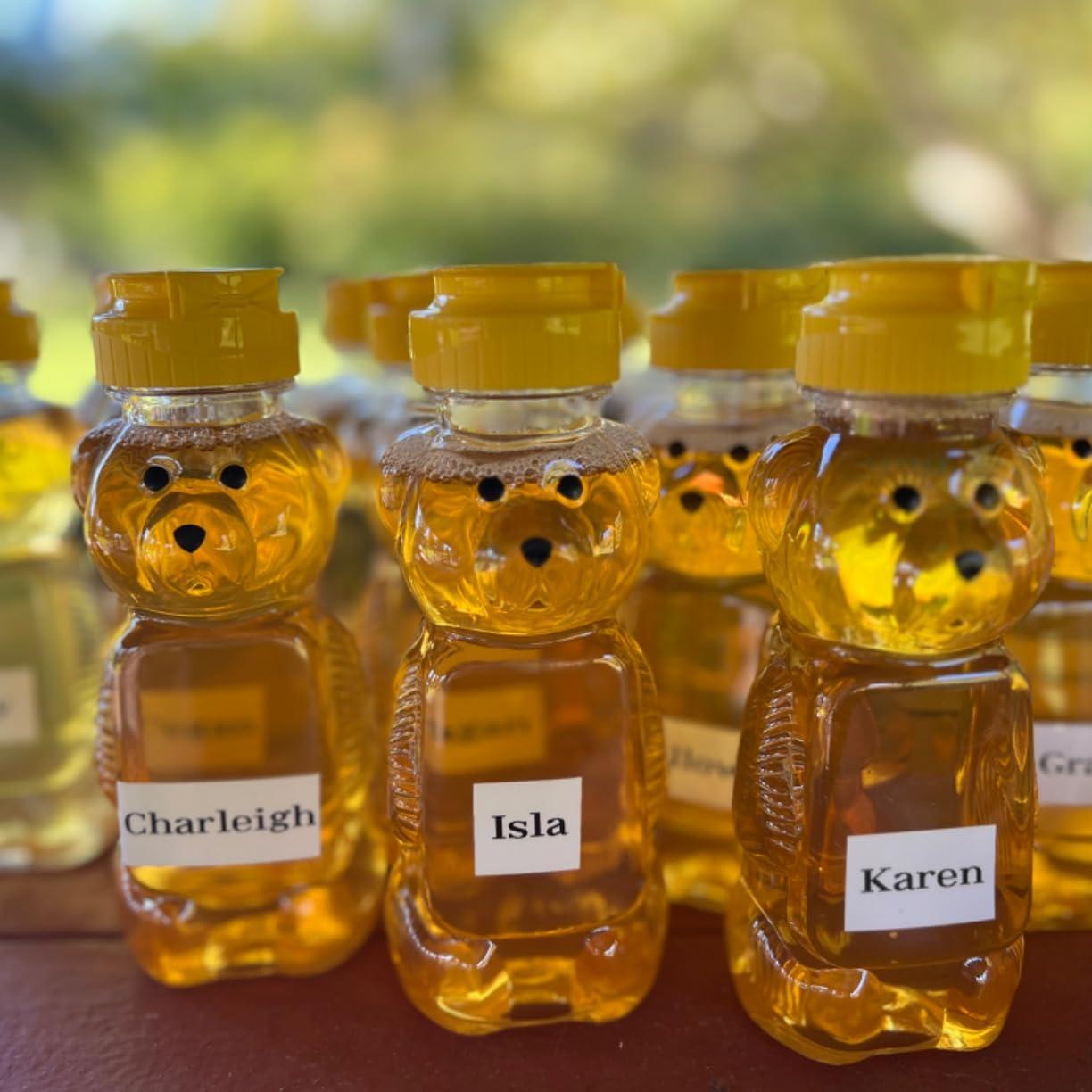 Frascos de plástico para miel  - Baby Food Jar reseña y precio